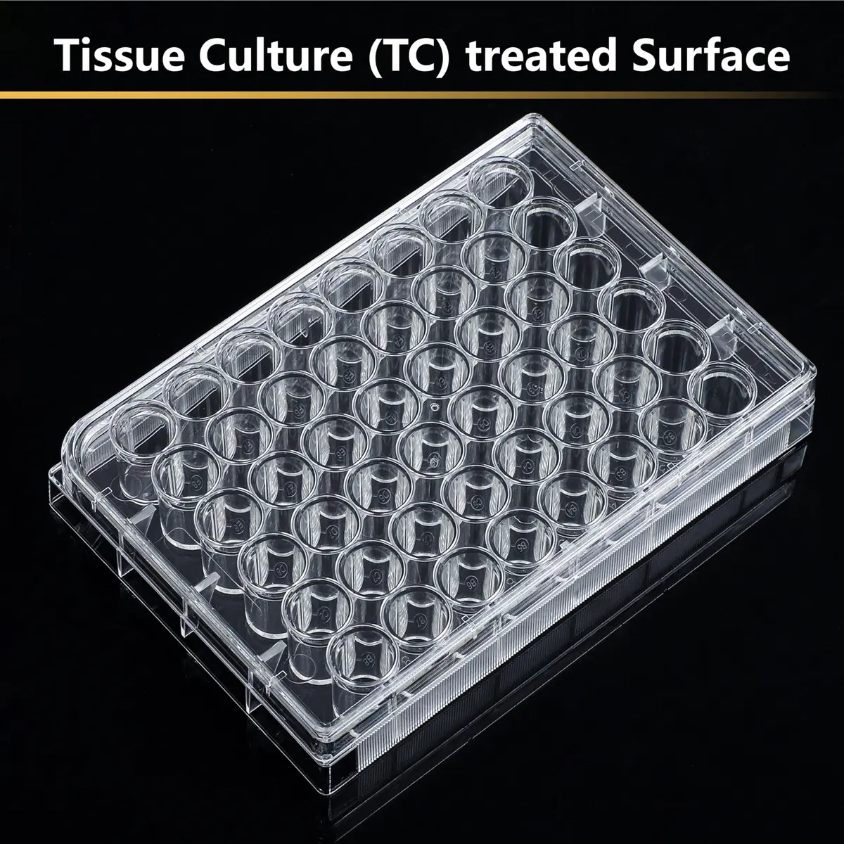 4E's USA 48 Well Cell Culture Plate with Lid | Tissue Culture Treated, Sterile, High Clarity (70-120 chars) - view 5