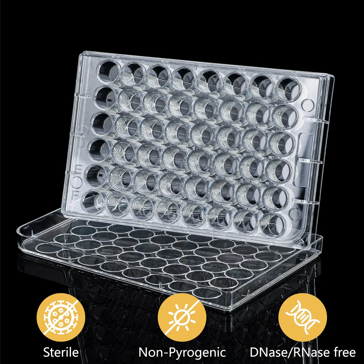4E's USA 48 Well Cell Culture Plate with Lid | Tissue Culture Treated, Sterile, High Clarity (70-120 chars) - view 3