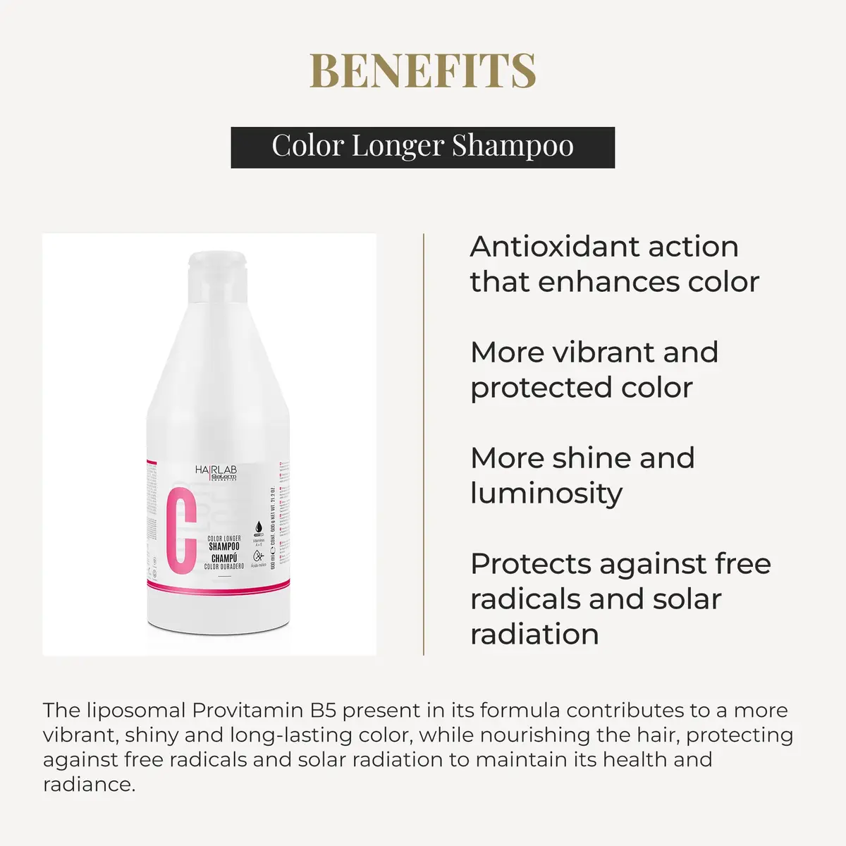 Salerm Gray 600 ml Shampoo | Color Sealing & Nourishing with Provitamin B5 - view 3