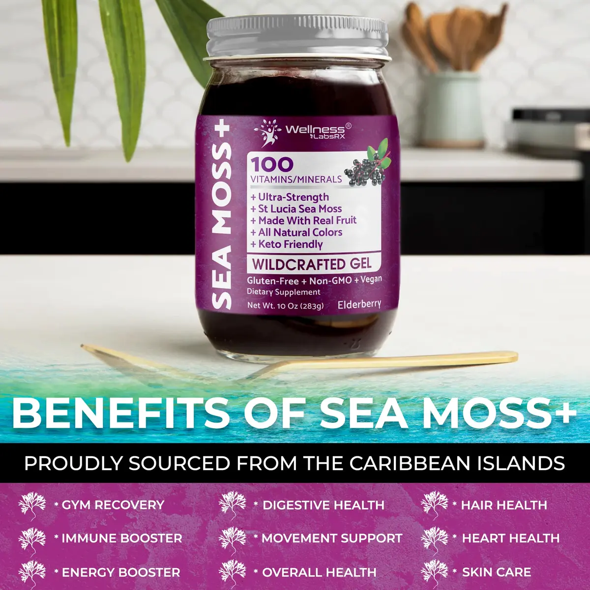 WELLNESS LABSRX Irish Sea Moss Gel Superfood Elderberry Flavor 296ml (10 Fl Oz) | Nutrient-Rich Superfood - view 6
