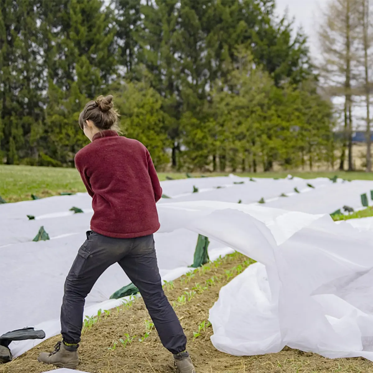 Kijamilee Plant Covers Freeze Protection 10FT x 50FT | Reusable Frost Cloths for Outdoor Plants - view 6