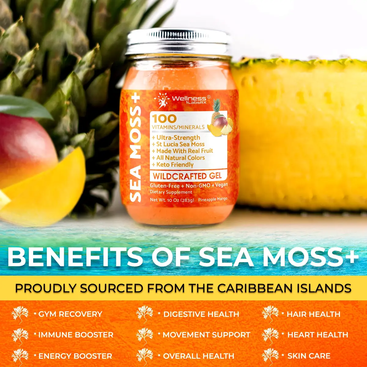 WELLNESS LABSRX Irish Sea Moss Gel Superfood Pineapple Mango 10 oz (296 ml) | Nutrient-Rich Superfood for Wellness - view 6