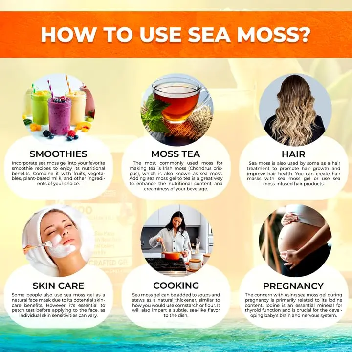 WELLNESS LABSRX Irish Sea Moss Gel Superfood Pineapple Mango 10 oz (296 ml) | Nutrient-Rich Superfood for Wellness - view 7