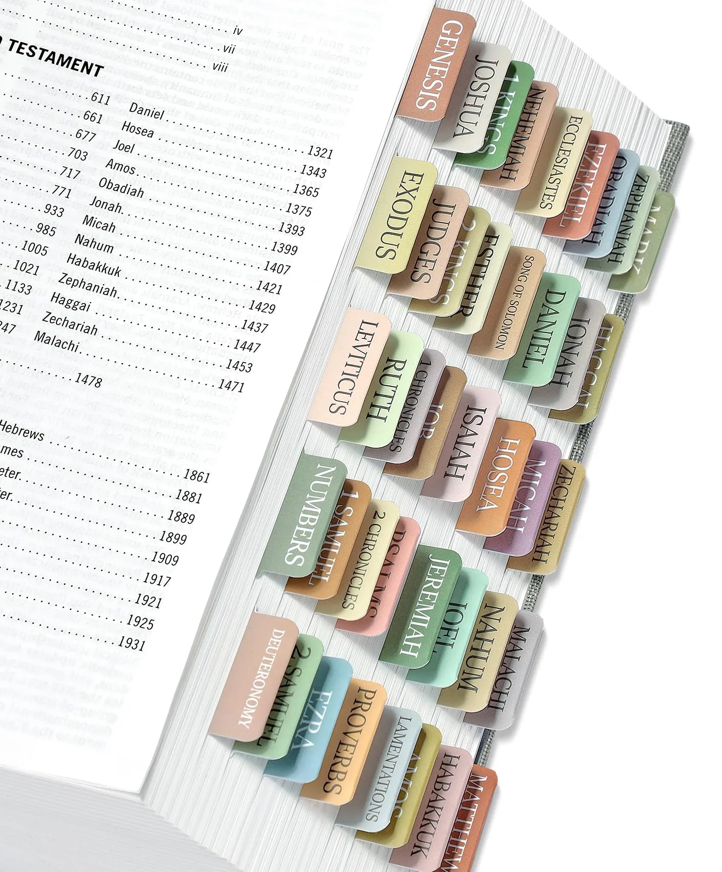 Taja Bible Tabs for Women & Men, Large Print Neutral Bible Index Tabs for Easy Navigation (39+27+9 Blank Tabs) - main product image