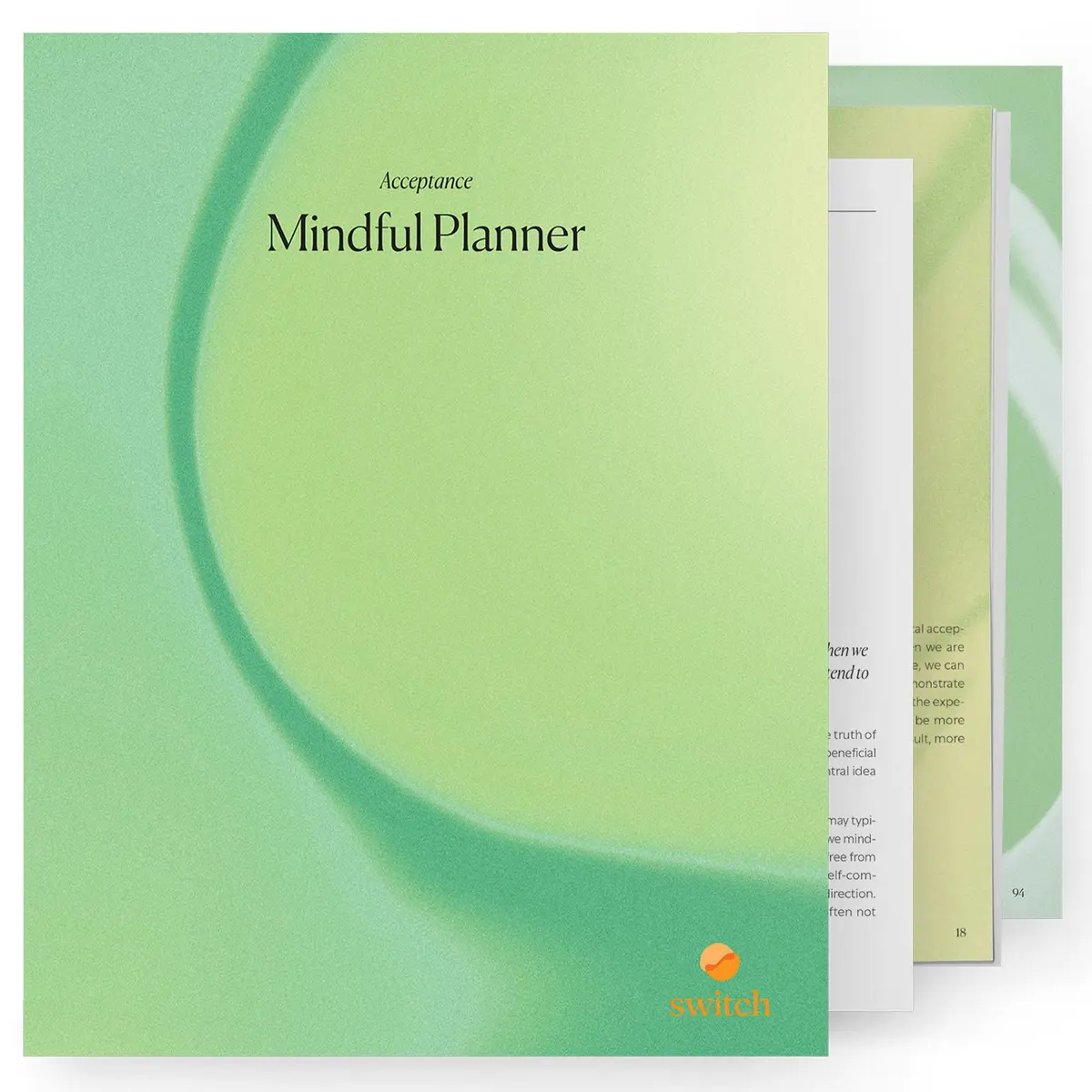 Switch Research Mindful Planner (Acceptance) - Evidence-Based Life Organizer - 31-Day Goal Planner to Develop Radical Acceptance - Daily planner With Prompts - main product image