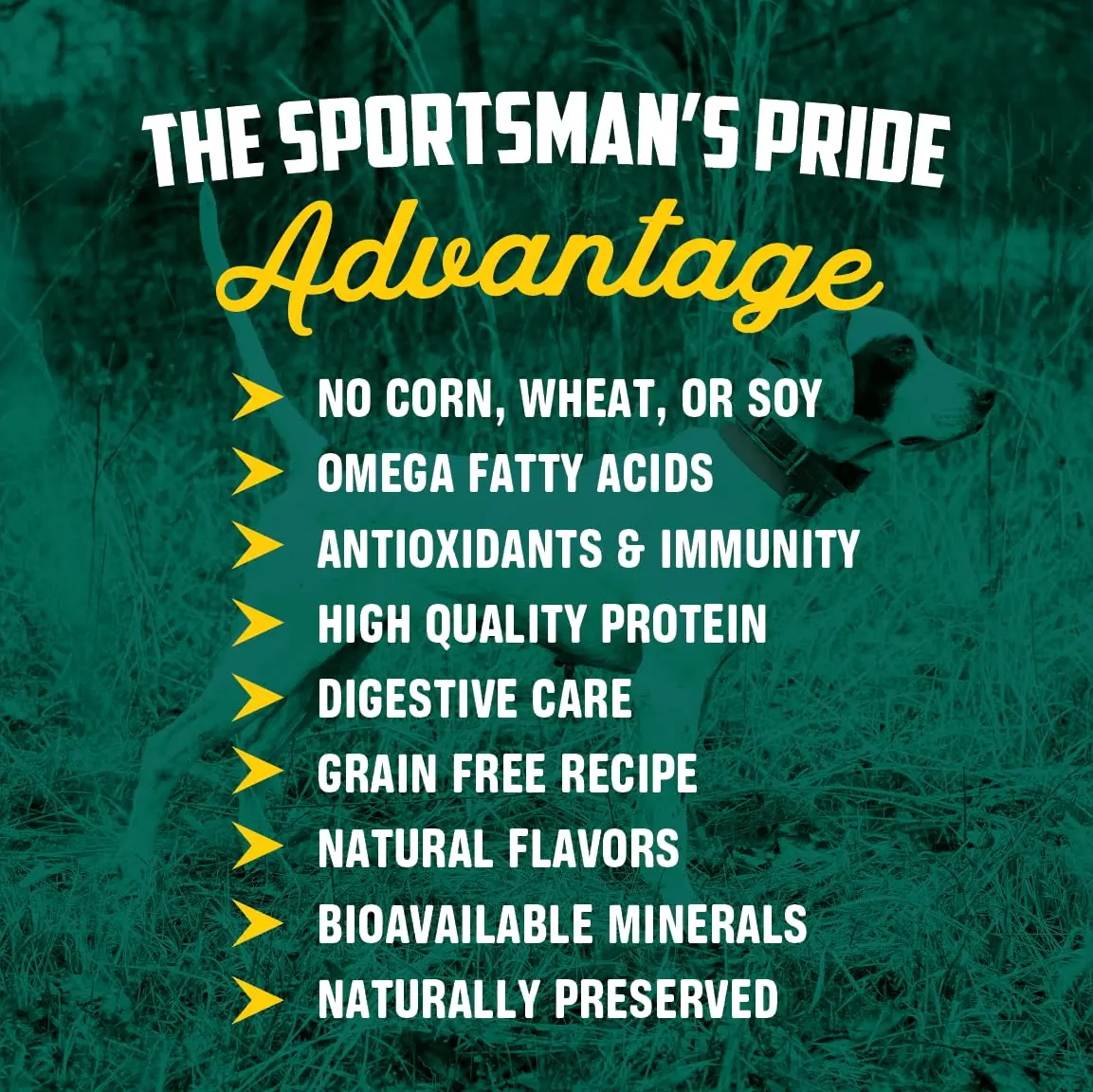 Sportsman's Pride Grain-Free Salmon & Sweet Potato Dog Food 30lb | Supports Joint & Coat - view 2