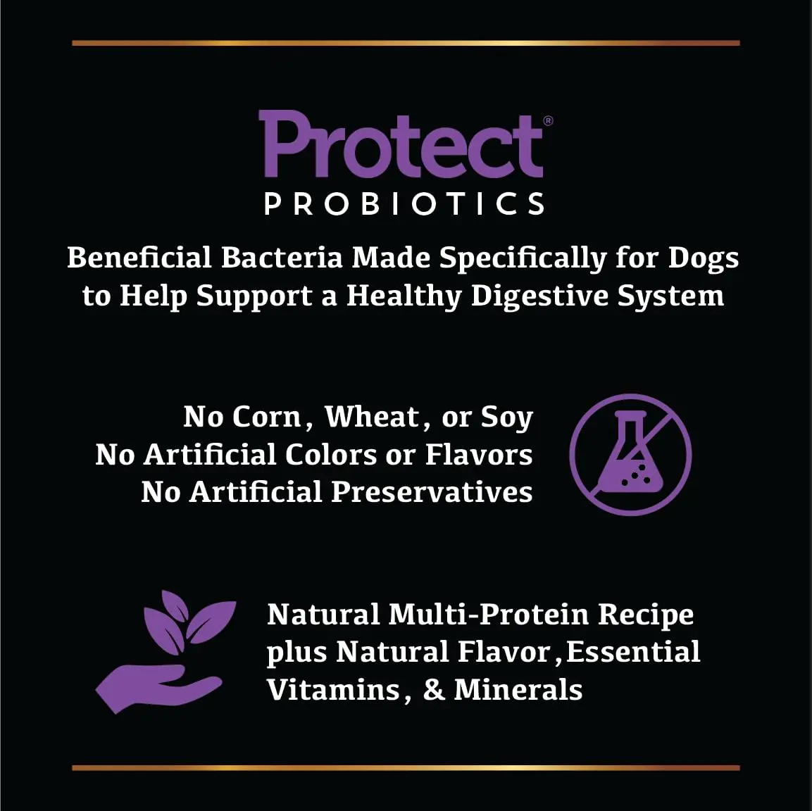 Sportsman's Pride Grain-Free Chicken, Sweet Potato & Berry Dog Food 13.6kg (30 lb) | Supports Sensitive Dogs - view 7
