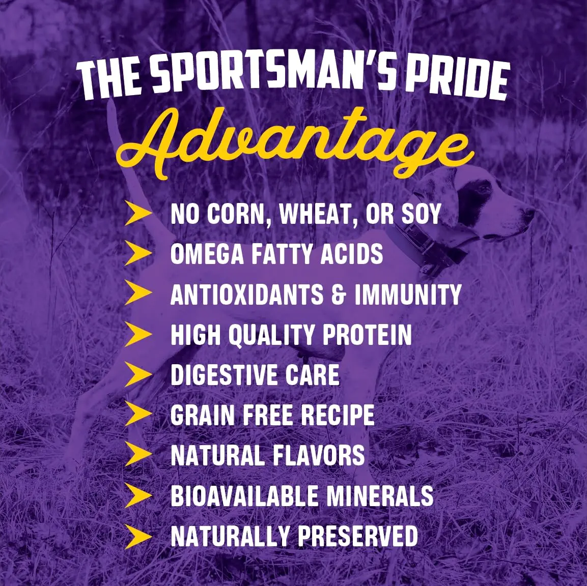 Sportsman's Pride Grain-Free Chicken, Sweet Potato & Berry Dog Food 13.6kg (30 lb) | Supports Sensitive Dogs - view 2