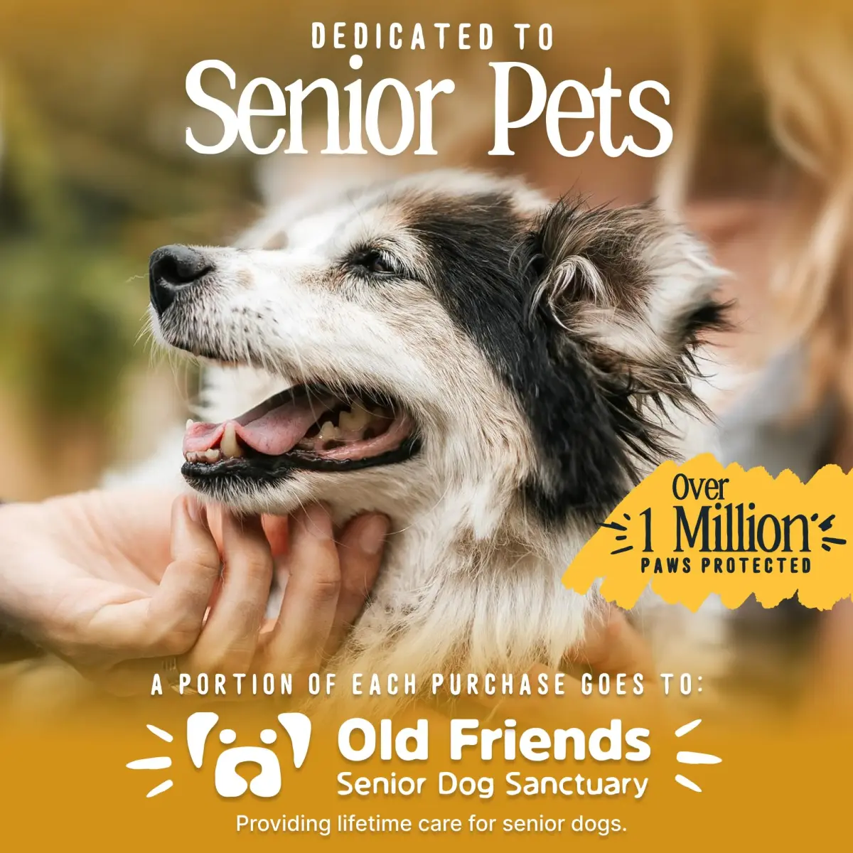 DOK TigerToes Premium Non-Slip Dog Socks for Hardwood Floors - Extra-Thick Grip, Small Size (4-Pack) | Prevents Licking, Slipping, and Protects Paws - view 7