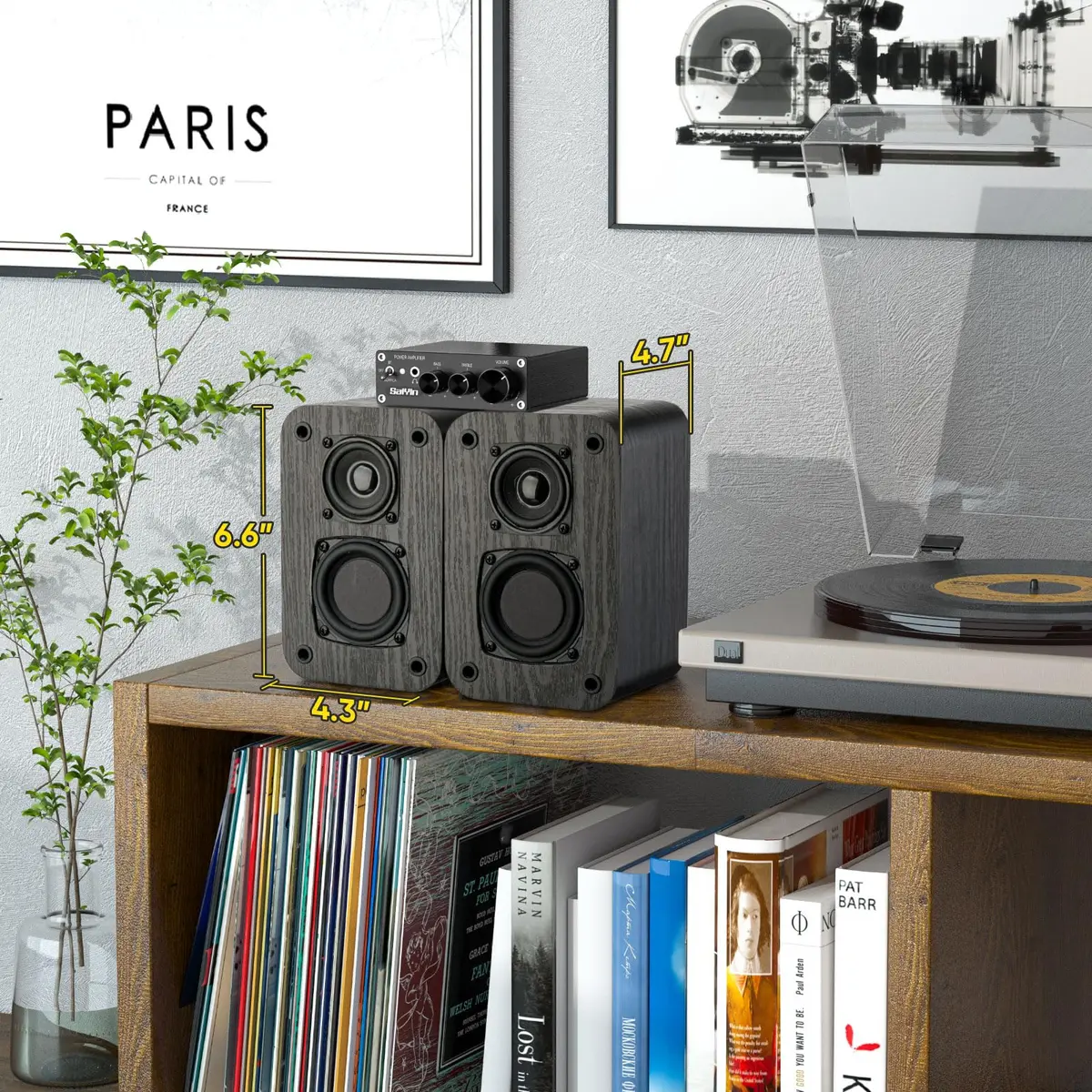 RIOWOIS Passive Bookshelf Speakers DS6500M Wood Grain | 2.75-inch Woofer, 2-inch Tweeter, 30W Peak Power, 6-ohm Impedance - view 8