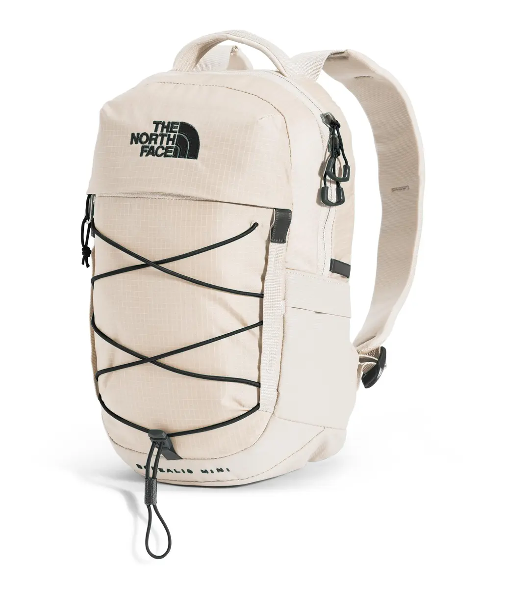 The North Face Borealis Mini Backpack | 10L City & Travel Daypack, Water-Resistant - view 2