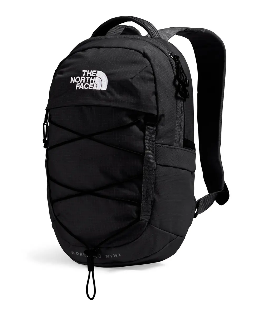 The North Face Borealis Mini Backpack | 10L City & Travel Companion - view 2