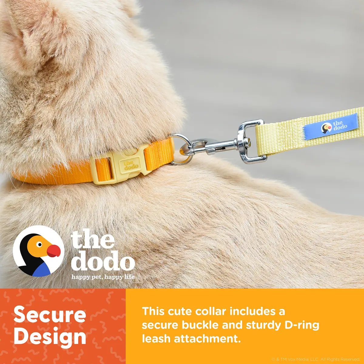 The Dodo All Nylon Yellow Collar and Leash Set - Small; Waterproof Dog Leash & Collar, Perfect for Beach or Lake Trips - view 4