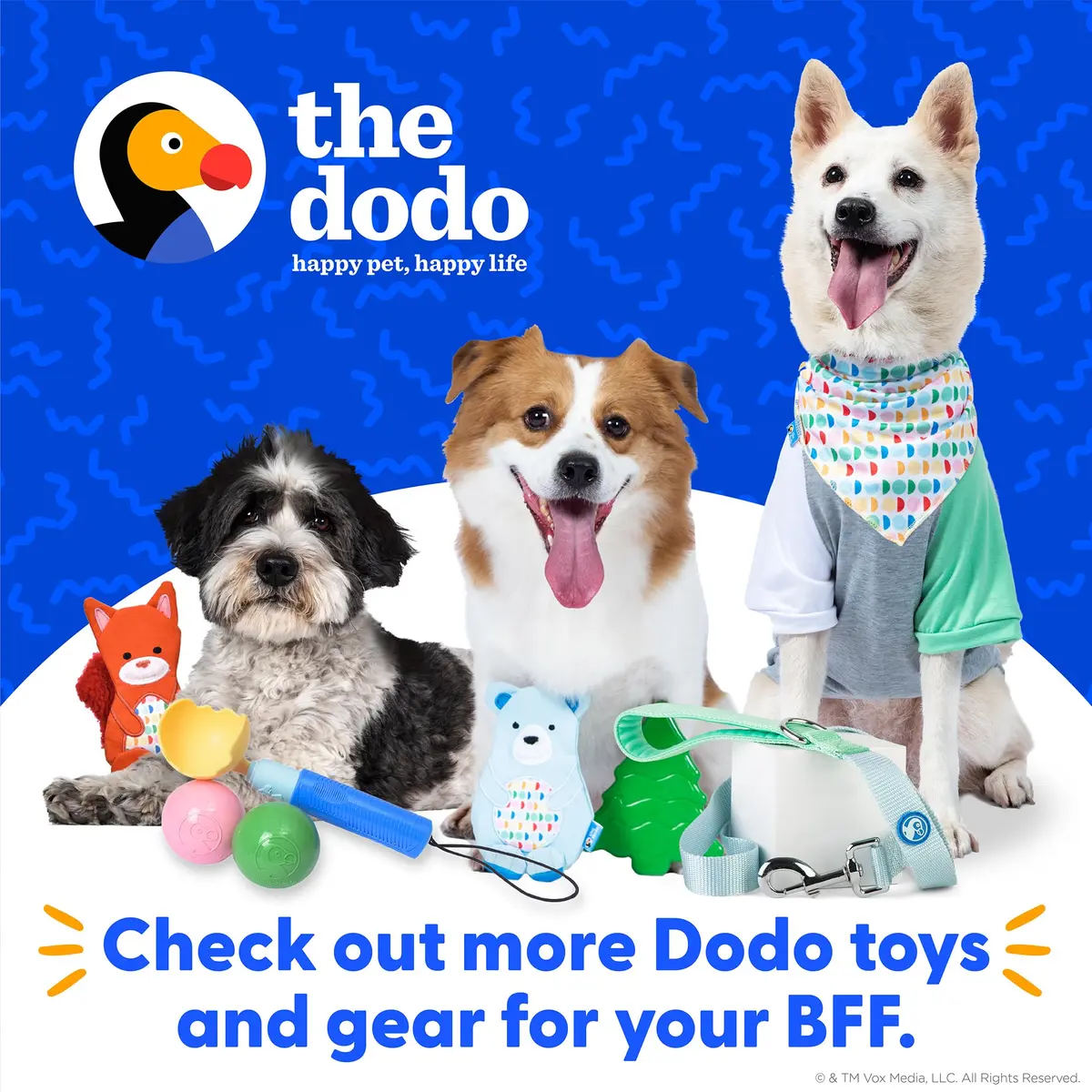 The Dodo All Nylon Blue and Green Collar and Leash Set - Small; Matching Waterproof Dog Accessories - view 8