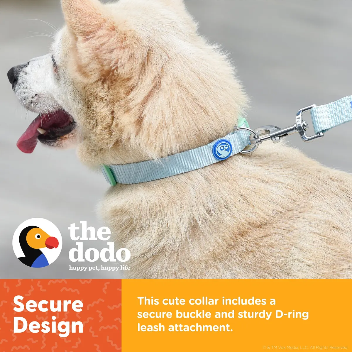 The Dodo All Nylon Blue and Green Collar and Leash Set - Small; Matching Waterproof Dog Accessories - view 4