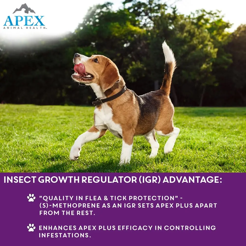 APEX ANIMAL HEALTH Apex Plus Flea & Tick Prevention for Large Dogs 45-88 lbs | 6-Month Supply - view 5