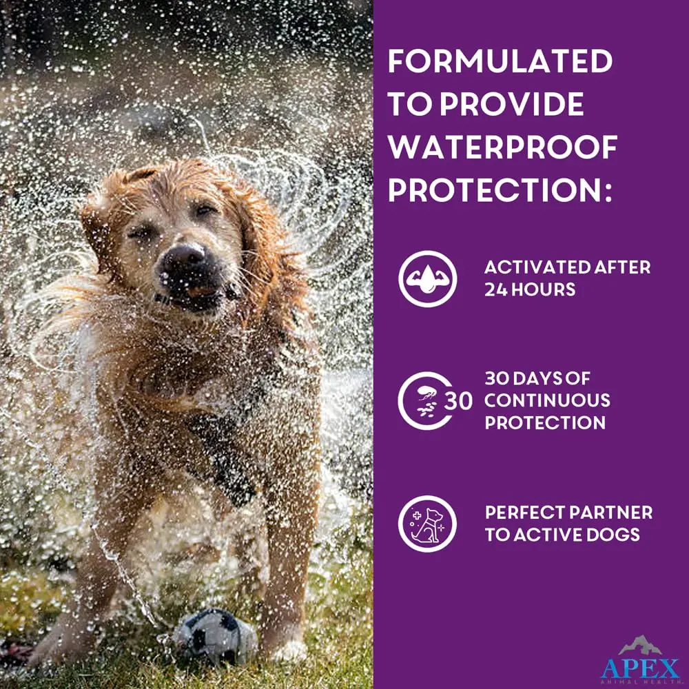 APEX ANIMAL HEALTH Apex Plus Flea & Tick Prevention for Large Dogs 45-88 lbs | 6-Month Supply - view 7