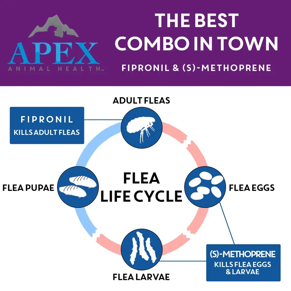 APEX ANIMAL HEALTH Apex Plus Flea & Tick Prevention for Large Dogs 45-88 lbs | 6-Month Supply - view 3