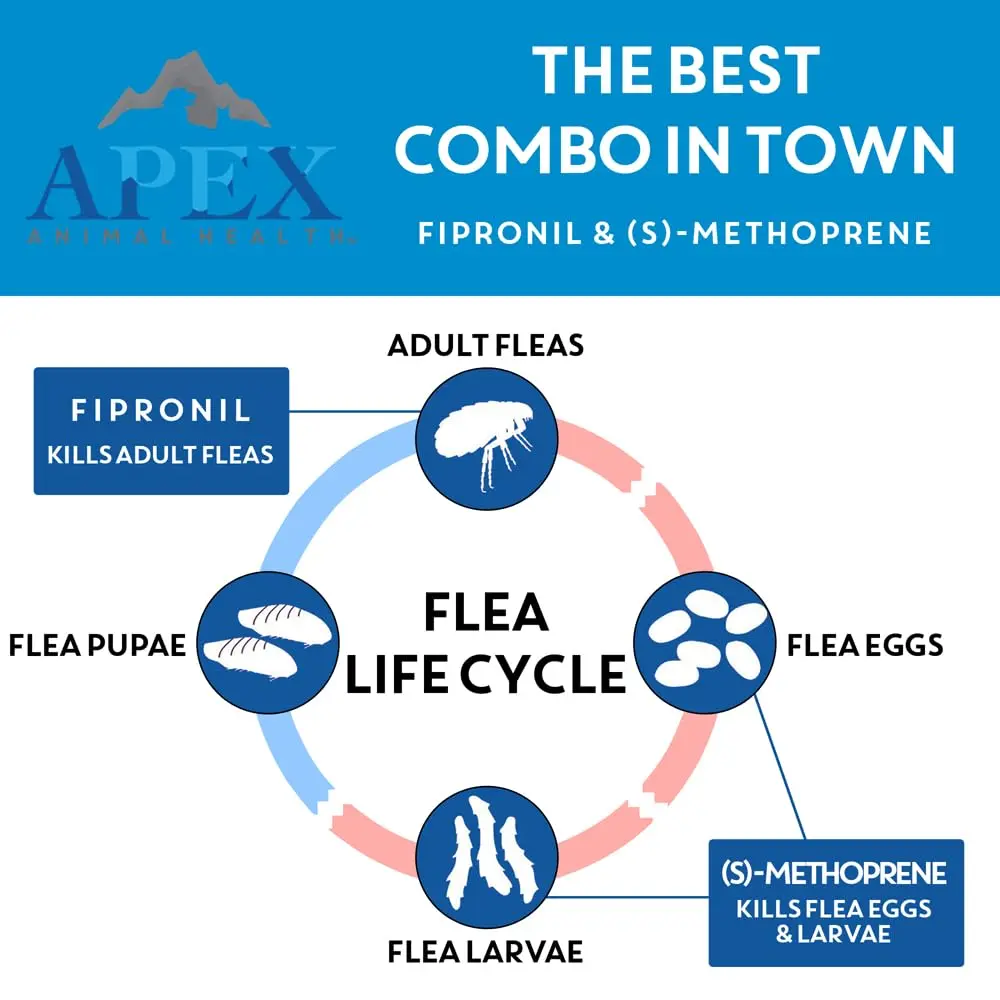 APEX ANIMAL HEALTH Apex Plus Flea & Tick Prevention for Medium Dogs 23-44 lbs | 3-Month Supply - view 3