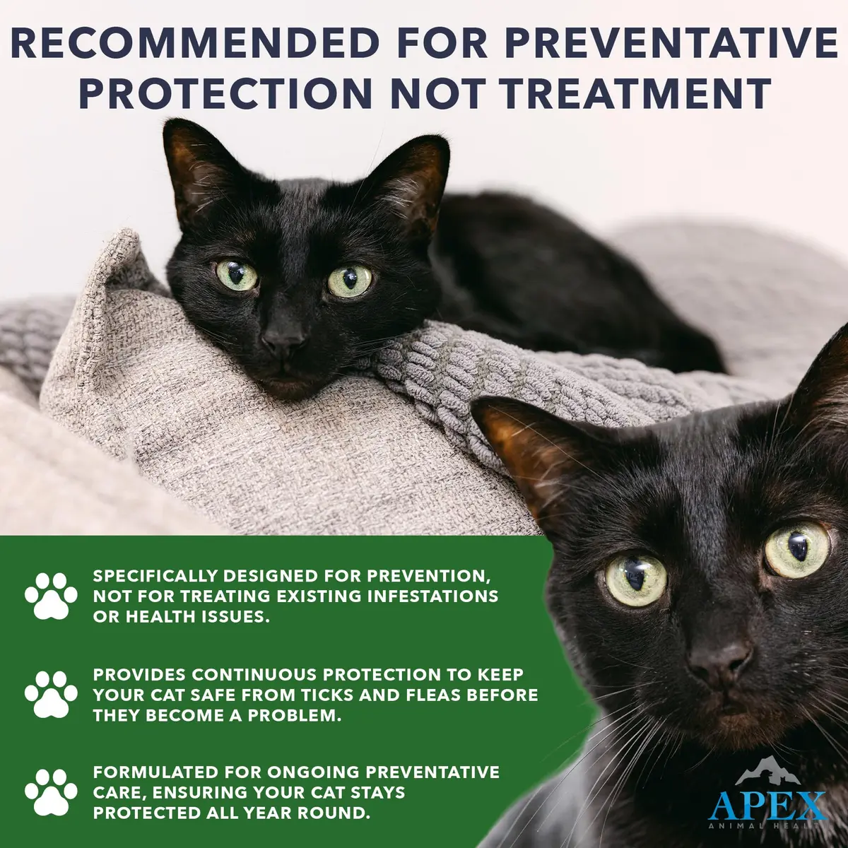 APEX ANIMAL HEALTH Flea & Tick Prevention Drops for Cats >1.5 lbs | 3-Month Supply, Easy & Safe - view 3