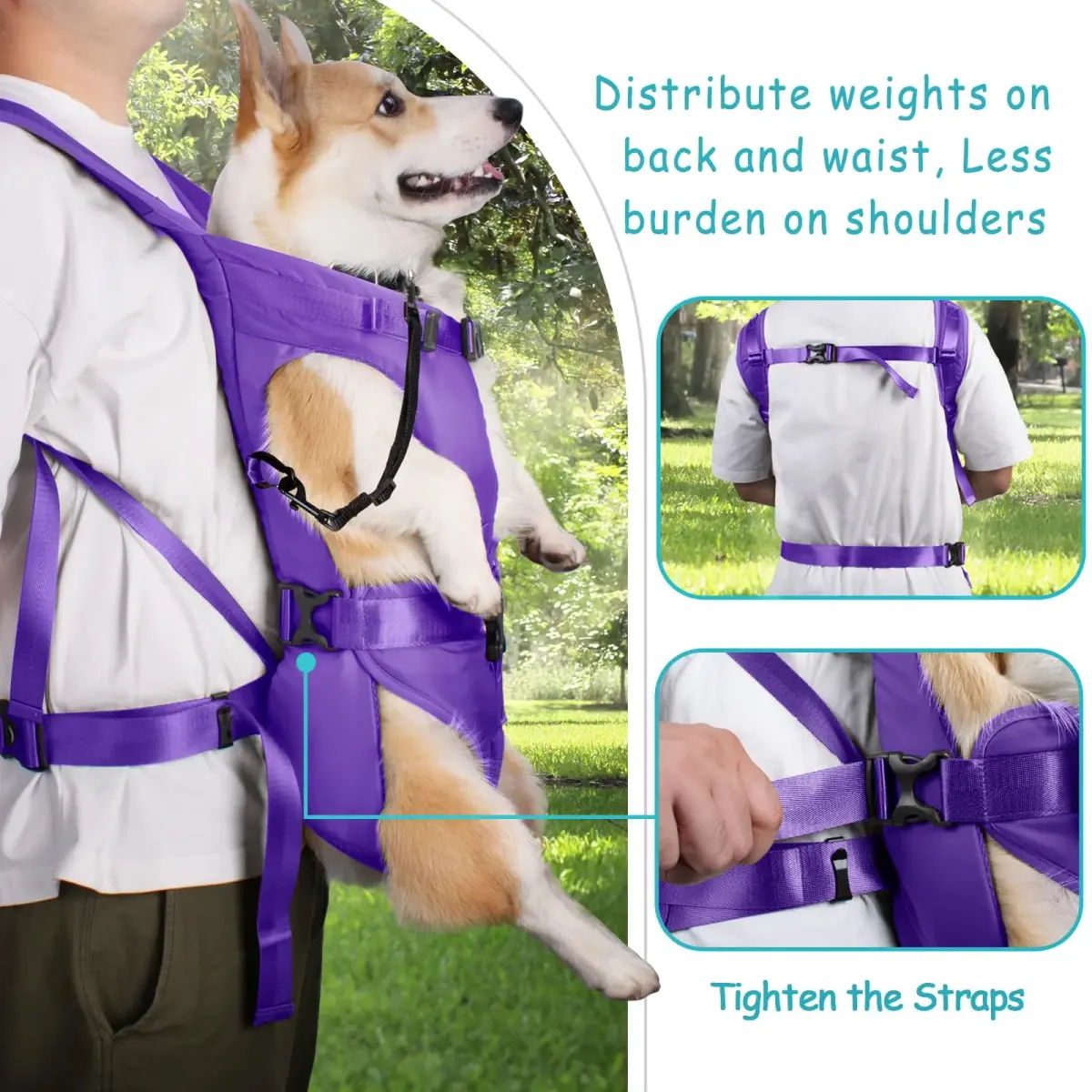 PetBonus Purple Medium Dog Carrier Backpack | Hands-Free Hiking Cycling Travel - view 3