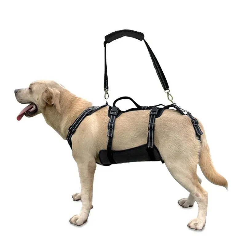 Coodeo Dog Lift Harness for Large Dogs, Black, L | Rehabilitation Support Sling for Old & Injured Pets - main product image