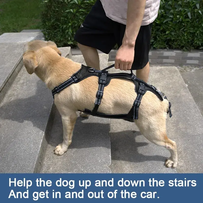 Coodeo Dog Lift Harness for Large Dogs, Black, L | Rehabilitation Support Sling for Old & Injured Pets - view 2
