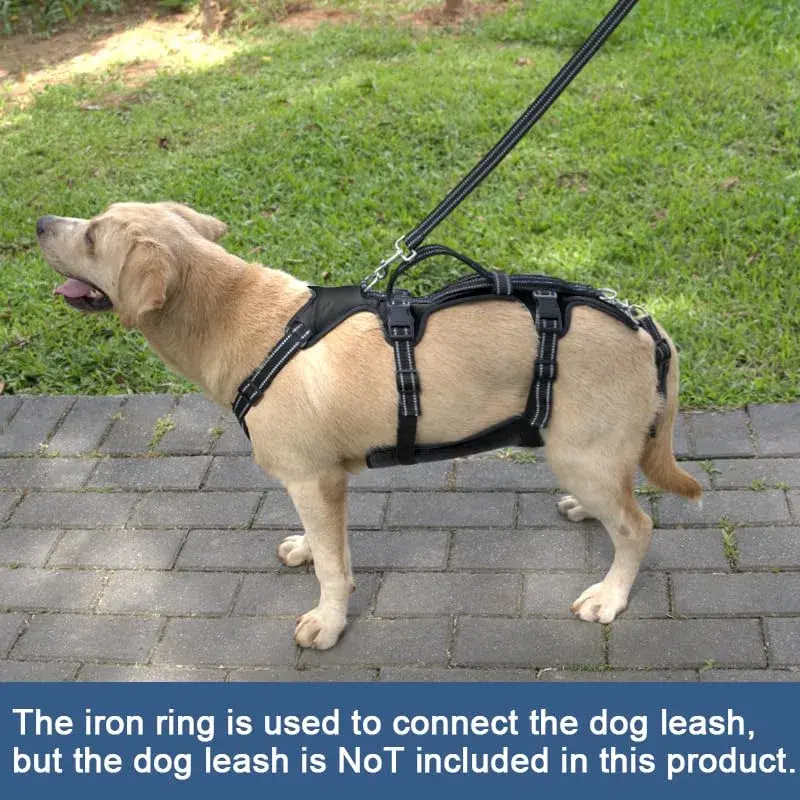 Coodeo Dog Lift Harness for Large Dogs, Black, L | Rehabilitation Support Sling for Old & Injured Pets - view 4