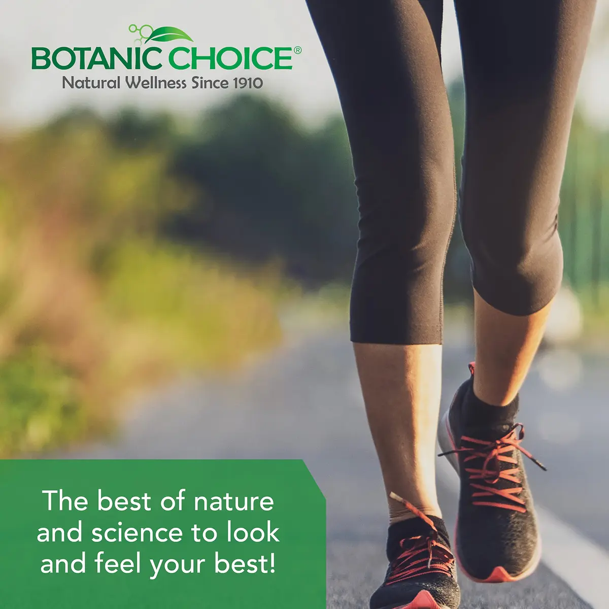 Botanic Choice Uric Acid Complex Celery Seed & Bromelain 60 Count (Pack of 2) | Supports Joint Comfort & Uric Acid Balance - view 5