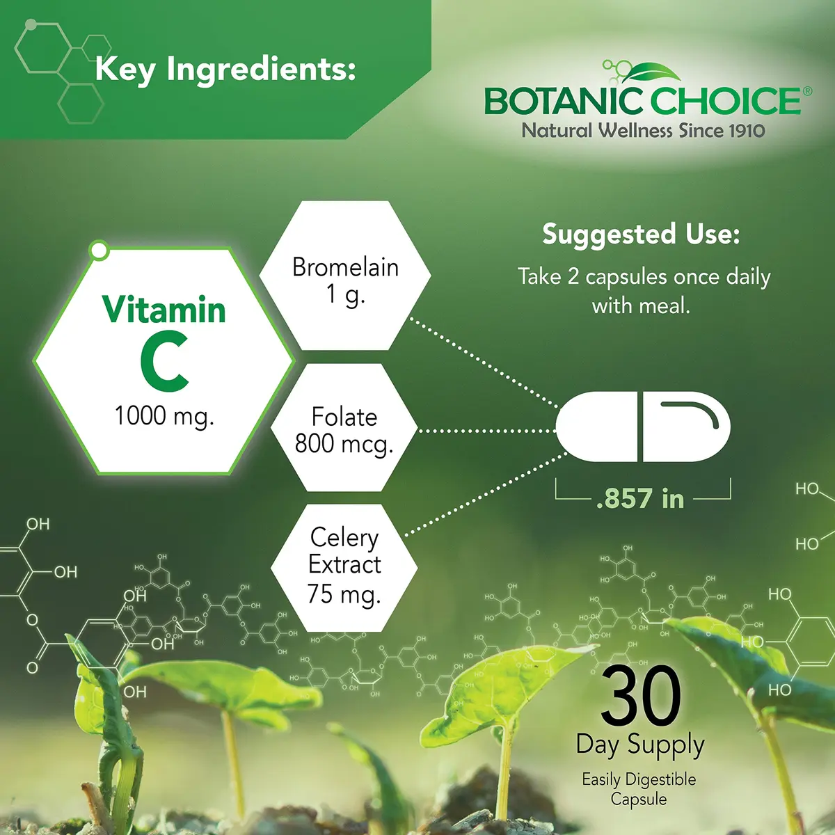 Botanic Choice Uric Acid Complex Celery Seed & Bromelain 60 Count (Pack of 2) | Supports Joint Comfort & Uric Acid Balance - view 3