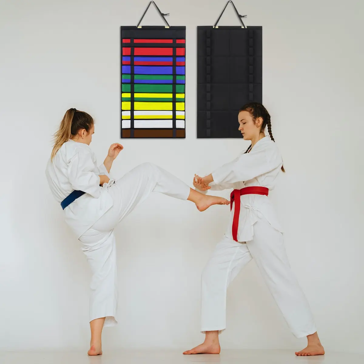 SANJHFF Karate Belt Display Rack Holds 12 Belts | Wall-Mount Martial Arts Organizer - view 3