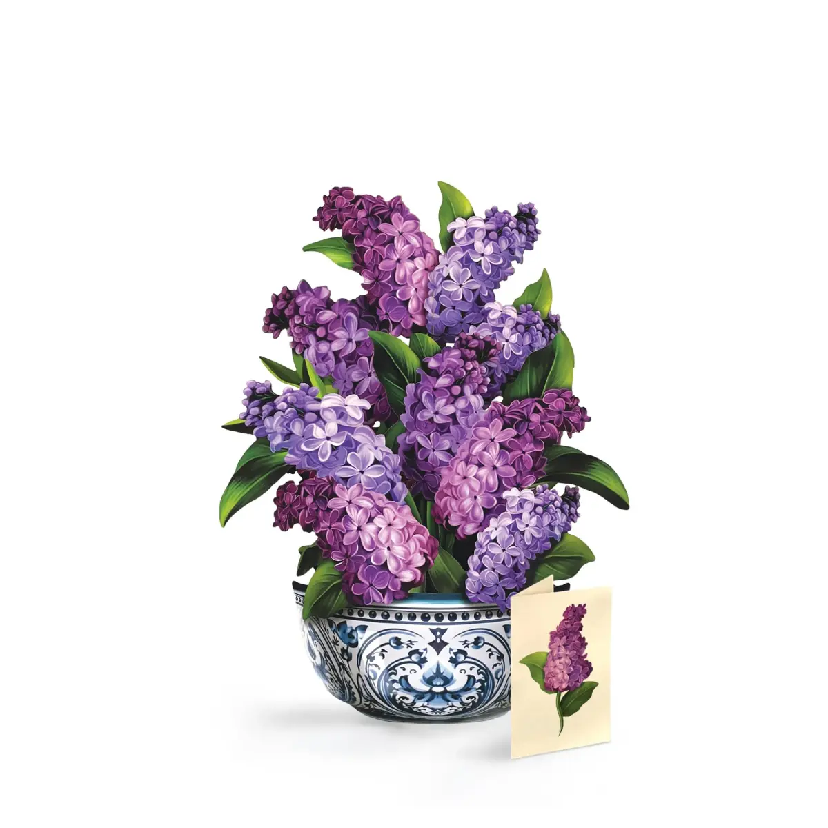 Freshcut Paper Garden Lilacs 3D Pop Up Card 14" x 10.5" | Blooming Art Bouquets - main product image