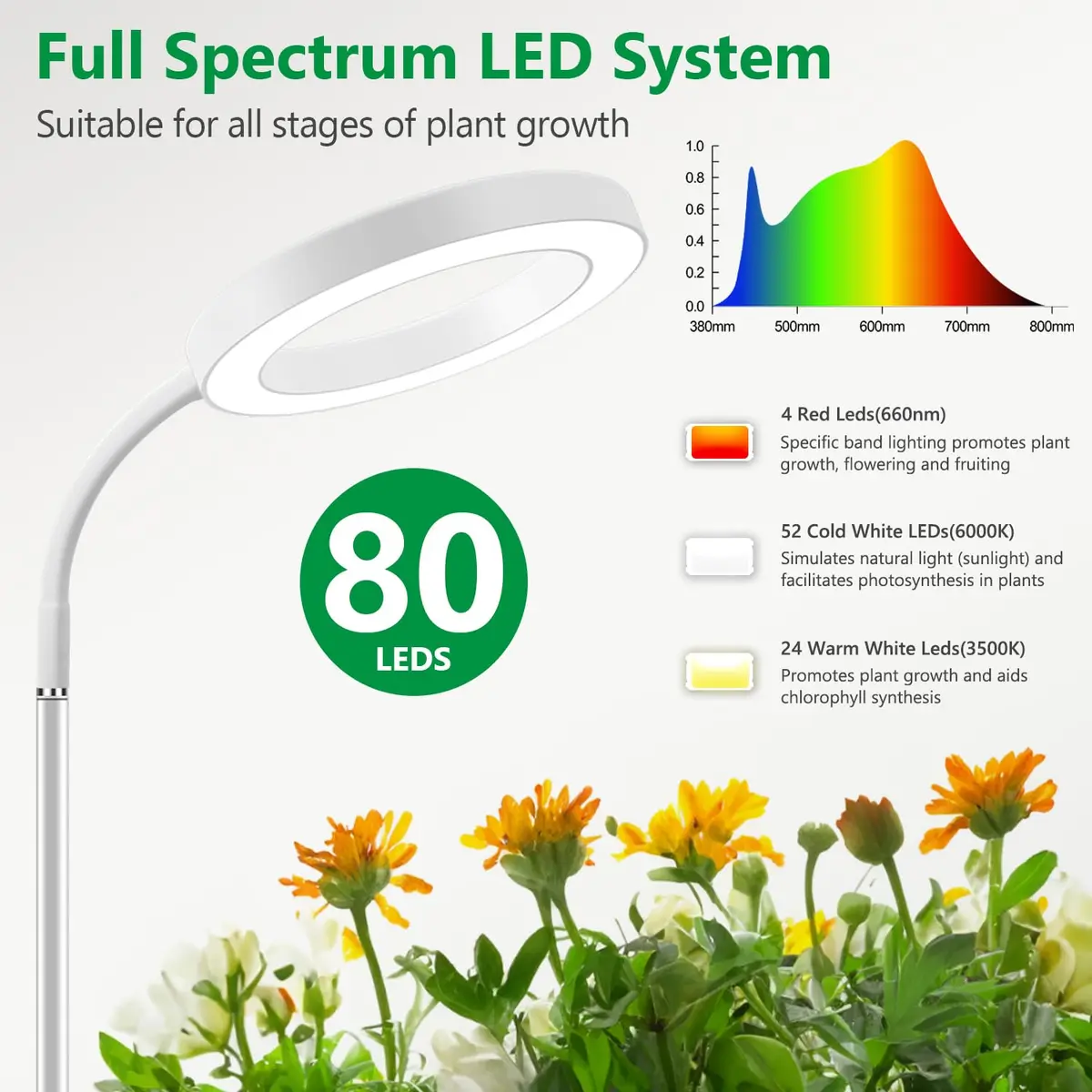 Aumtrly Full Spectrum LED Grow Light Stand 175cm (68") | 3 Lighting Modes, 5 Dimming Levels, 16-Hour Timer - view 3