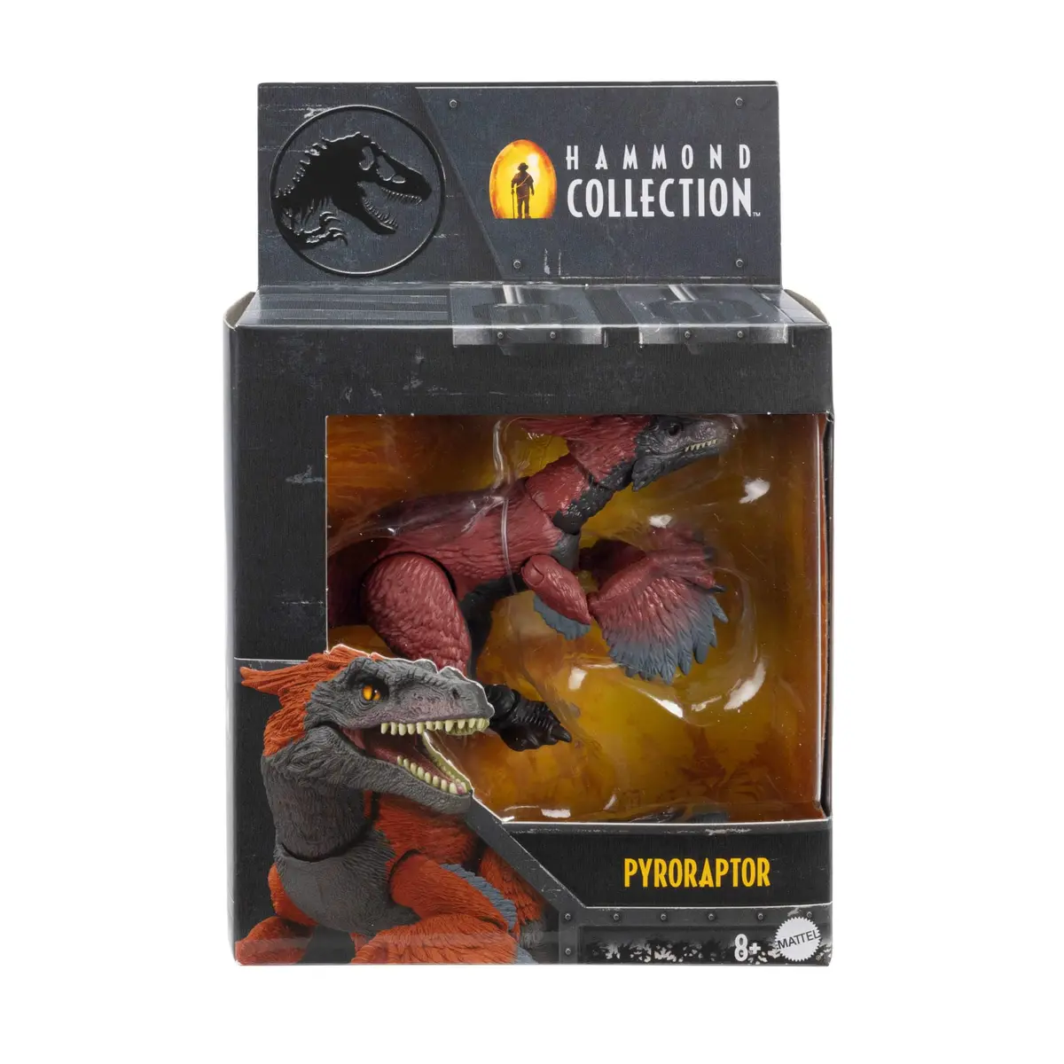 Mattel Jurassic World Hammond Collection Pyroraptor Dinosaur Figure 20.8 cm (8.2 inches) | Highly Posable Action Figure with Glass Eyes & Wired Tail - view 6