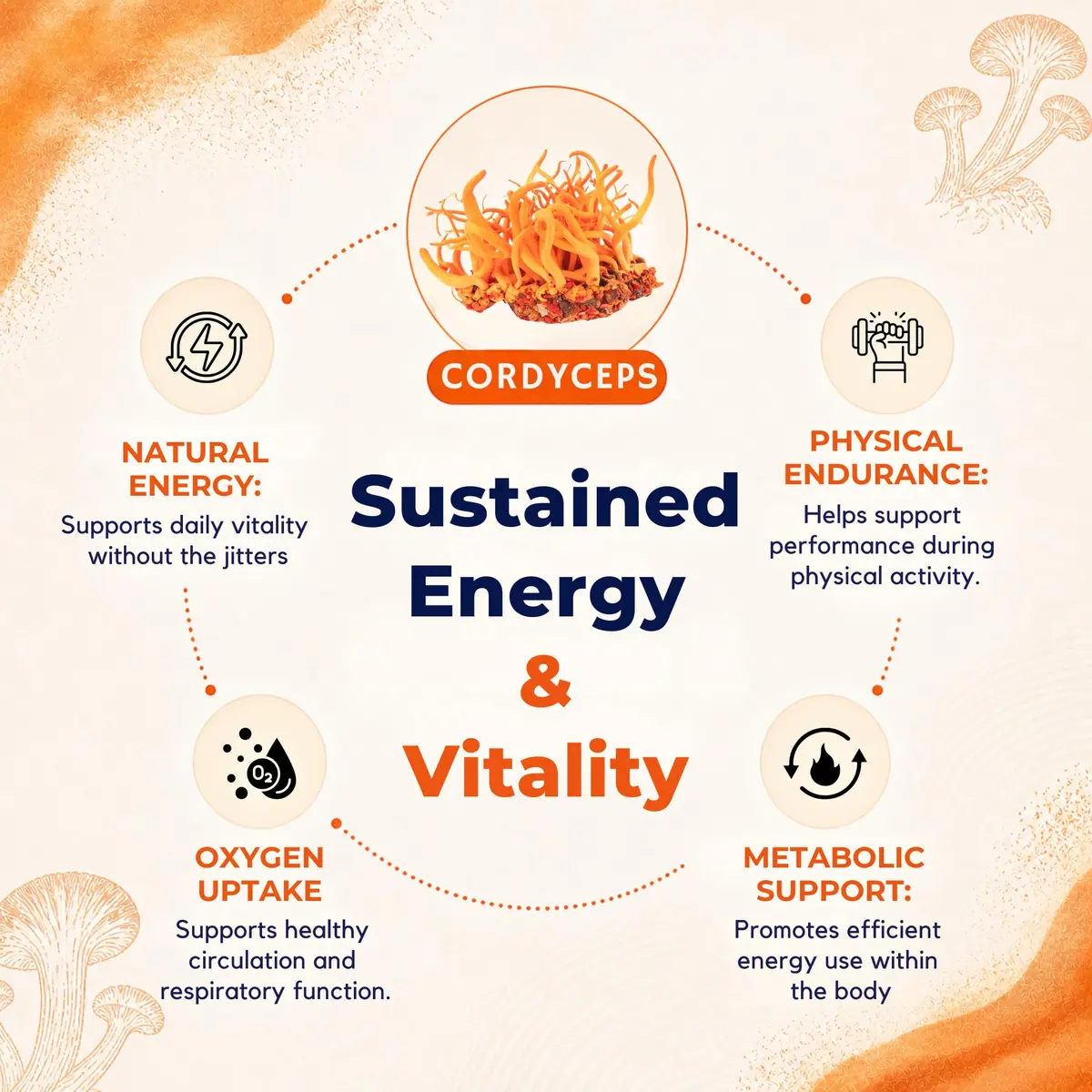 MALAMA MUSHROOMS Cordyceps Mushroom Extract Powder 3.5 oz | Organic Superfood for Energy & Endurance - view 3