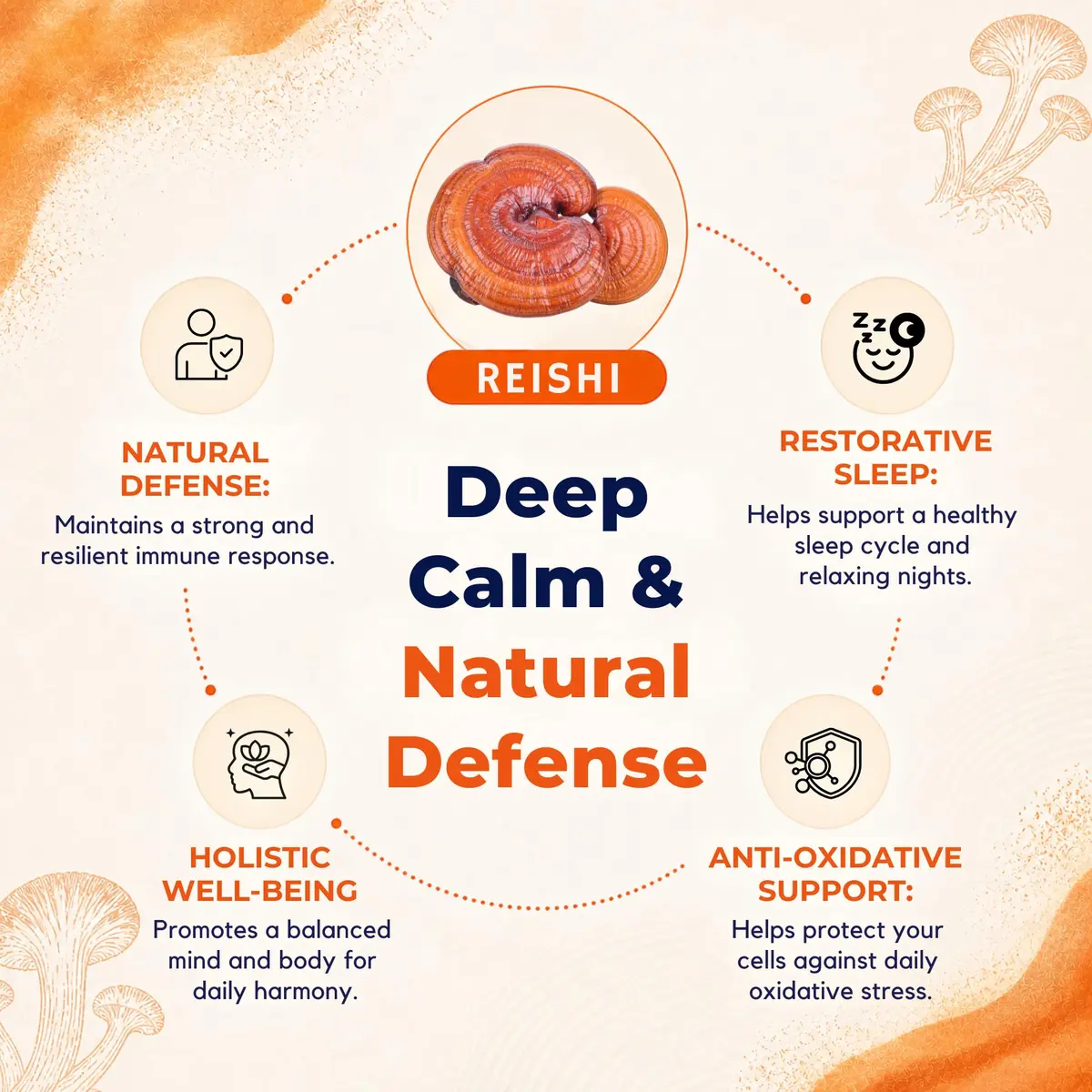 Malama Organic Reishi Mushroom Extract Powder, Natural Superfood 3.5 oz | Supports Immune & Stress - view 3