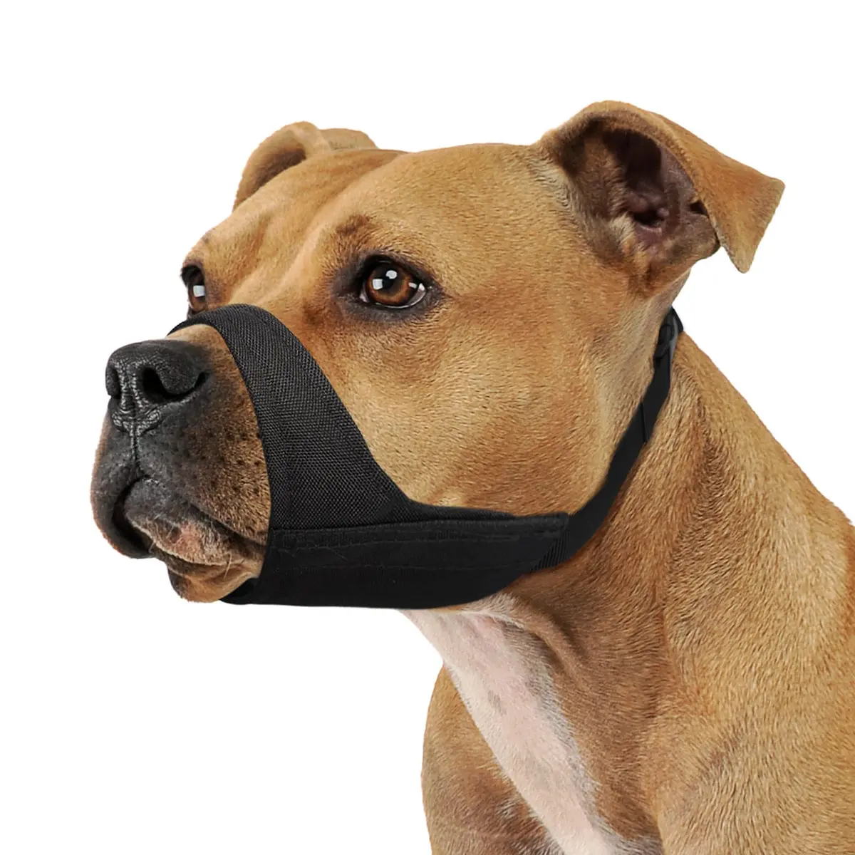 Mayerzon Fabric Pitbull Muzzle for Large Short Snout Dog Anti Fierce Biting | Soft Breathable Fit XL - main product image