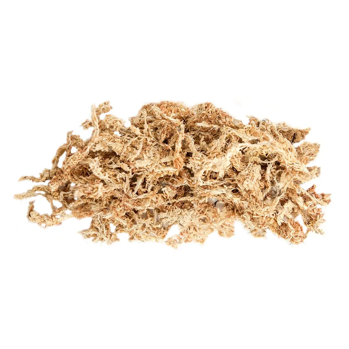 SuperMoss Premium Grade Long Fiber Sphagnum Moss 5.26 kg (11.6 lb) Grower Bale | Superior Water Retention for Orchids and Nursery Plants - view 6