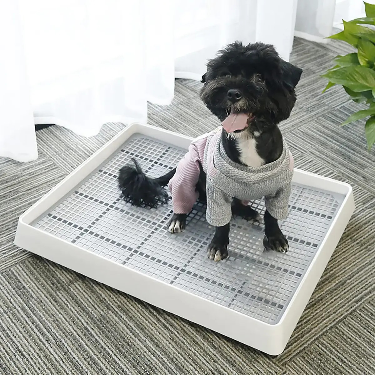 WUWEOT 2 Pack Large Rabbit Litter Box 37cm (14.5"L x 11.7"W x 2.6"H) | Shallow Bunny Restroom with Grate - view 7