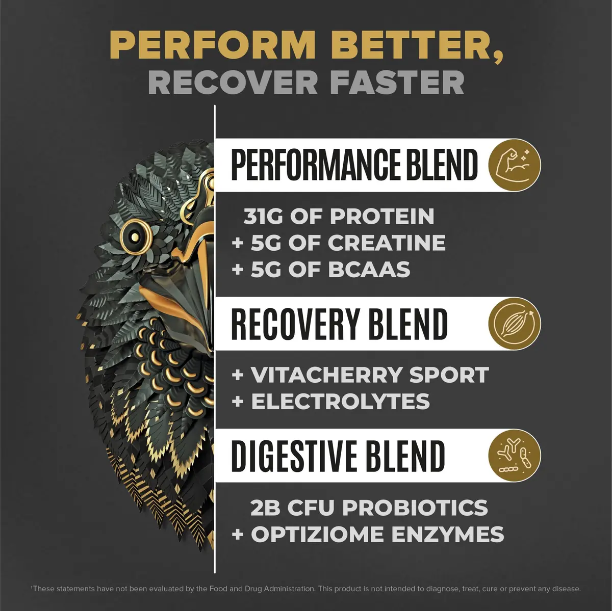 BIRDMAN Falcon Performance Vegan Protein Powder, 5 lb | 31g Protein, 5g Creatine, 5g BCAA, Probiotics, Electrolytes, Low Carb, Sugar Free, Dairy Free - view 2