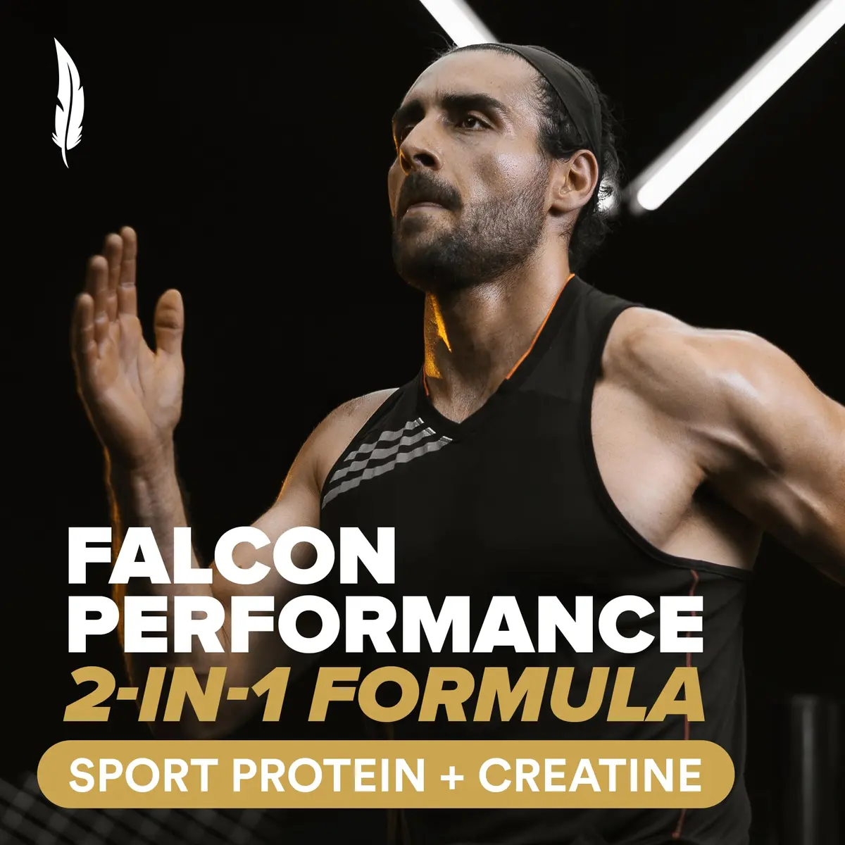 BIRDMAN Falcon Performance Vegan Protein Powder, 5 lb | 31g Protein, 5g Creatine, 5g BCAA, Probiotics, Electrolytes, Low Carb, Sugar Free, Dairy Free - view 3