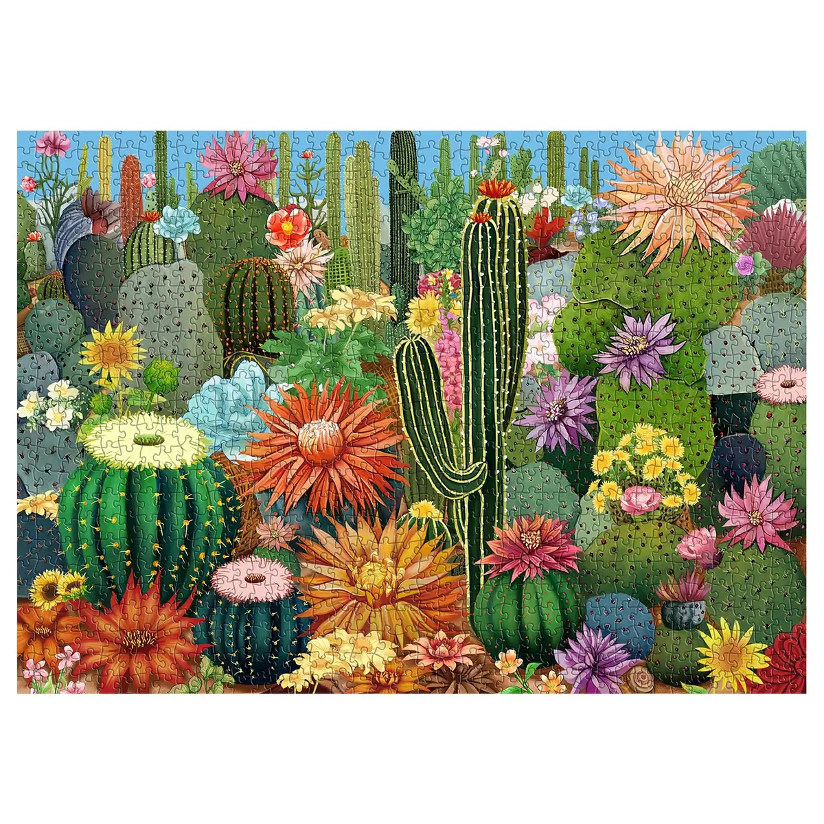 PPuzzling Succulent Garden Jigsaw Puzzles 1000 Pieces 53cm x 75cm | Educational & Non-Toxic Puzzle for Adults - main product image