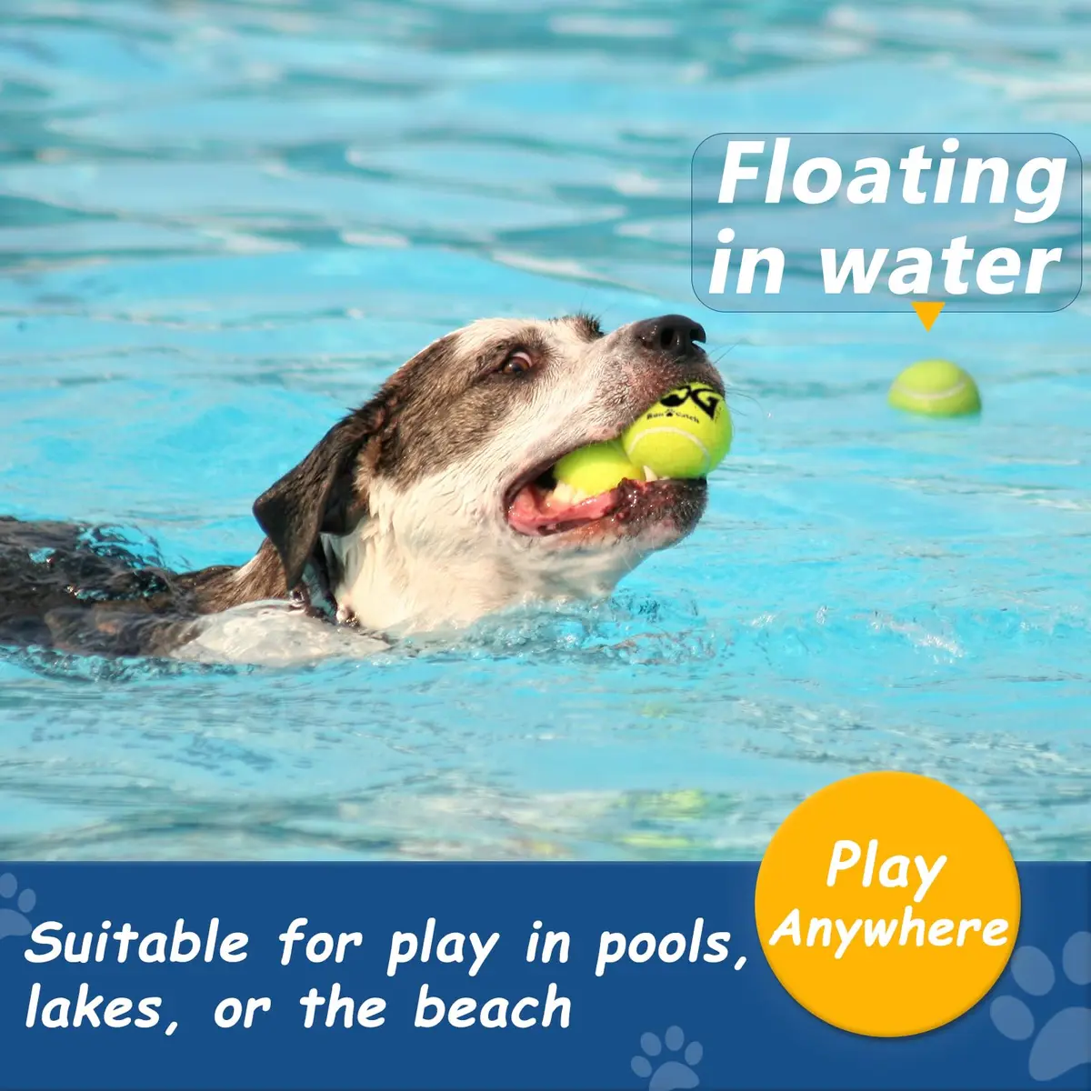 INSUM Squeaky Tennis Balls for Dogs 6 Pack 2.5" | Vibrant, Safe & Durable Play Toy - view 5
