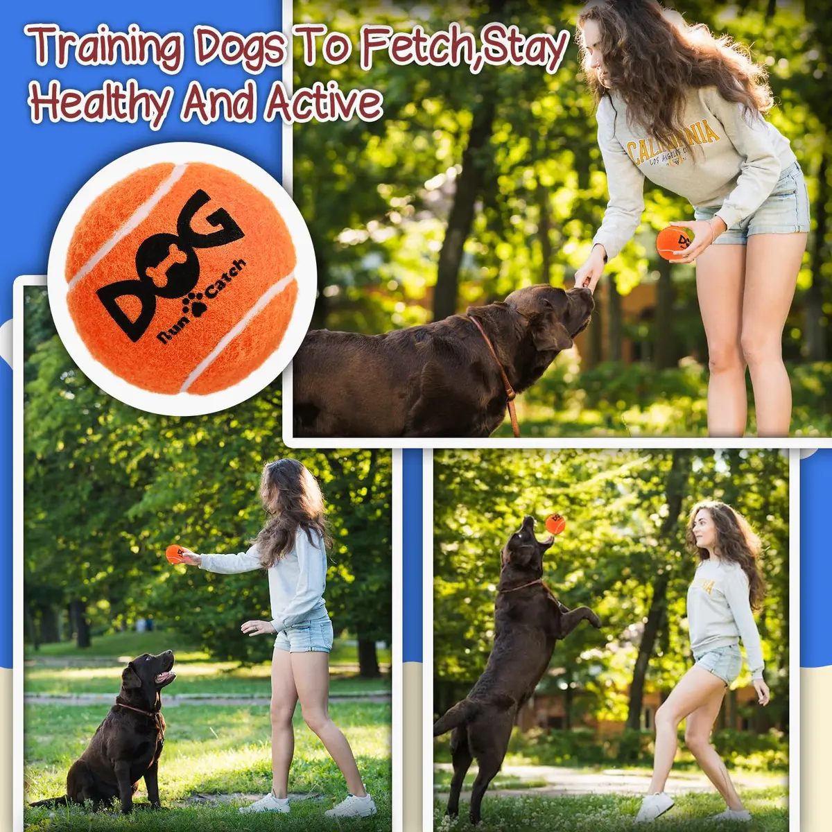 INSUM Squeaky Tennis Balls for Dogs 6 Pack 2.5" | Vibrant, Safe & Durable Play Toy - view 8