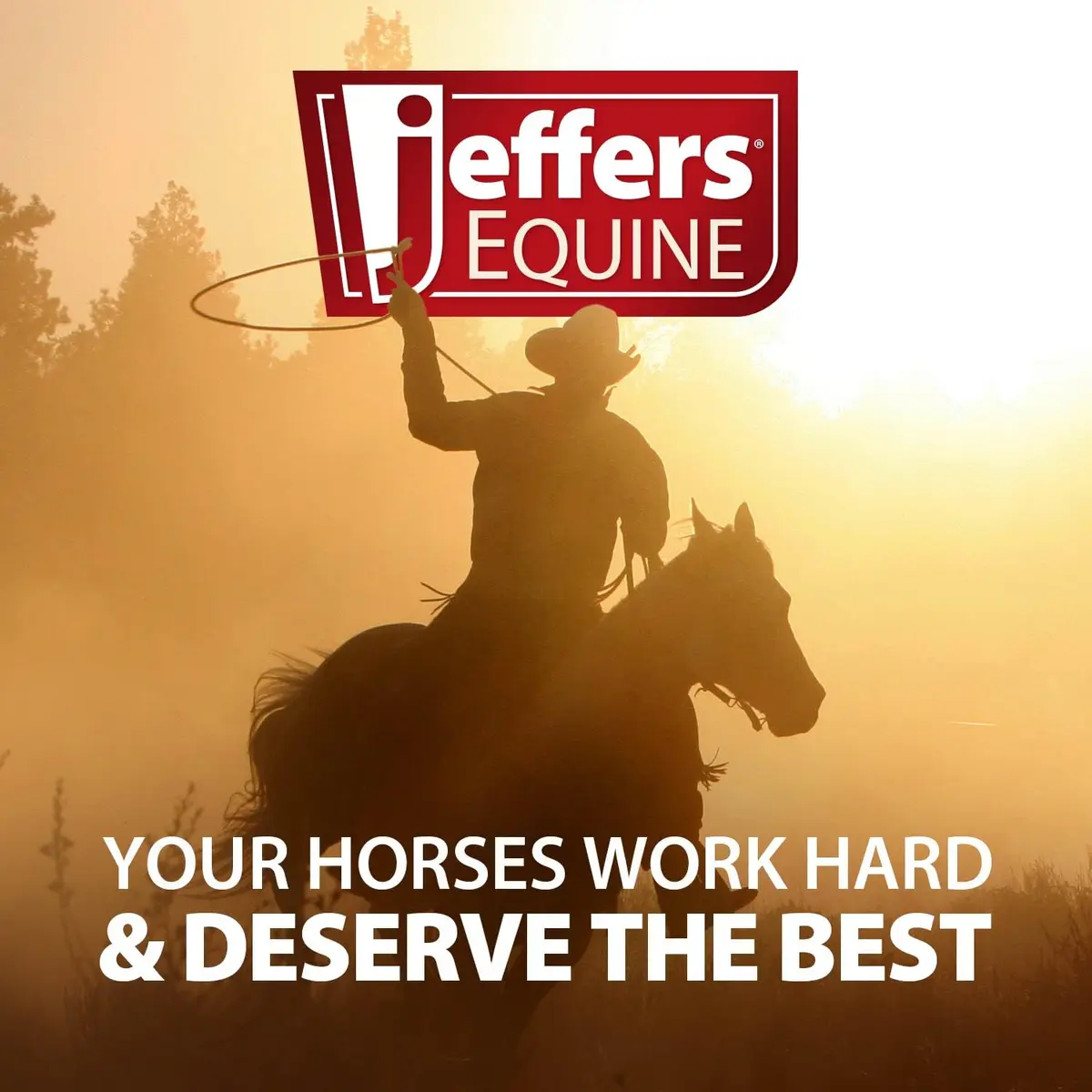 Jeffers Motion Potion Joint Supplement Liquid with HA for Horses | 38 oz - view 7