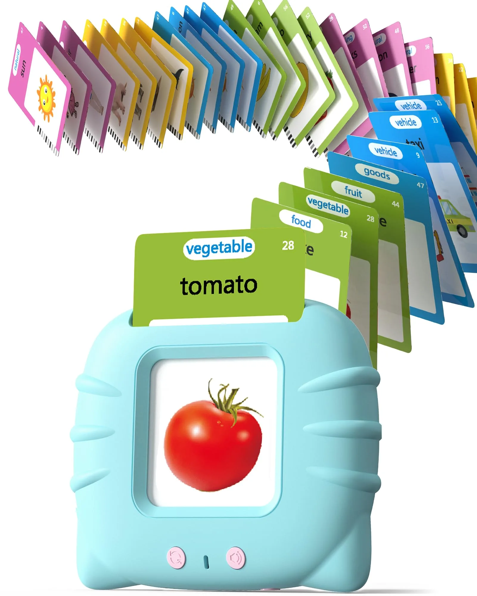 Flash Cards