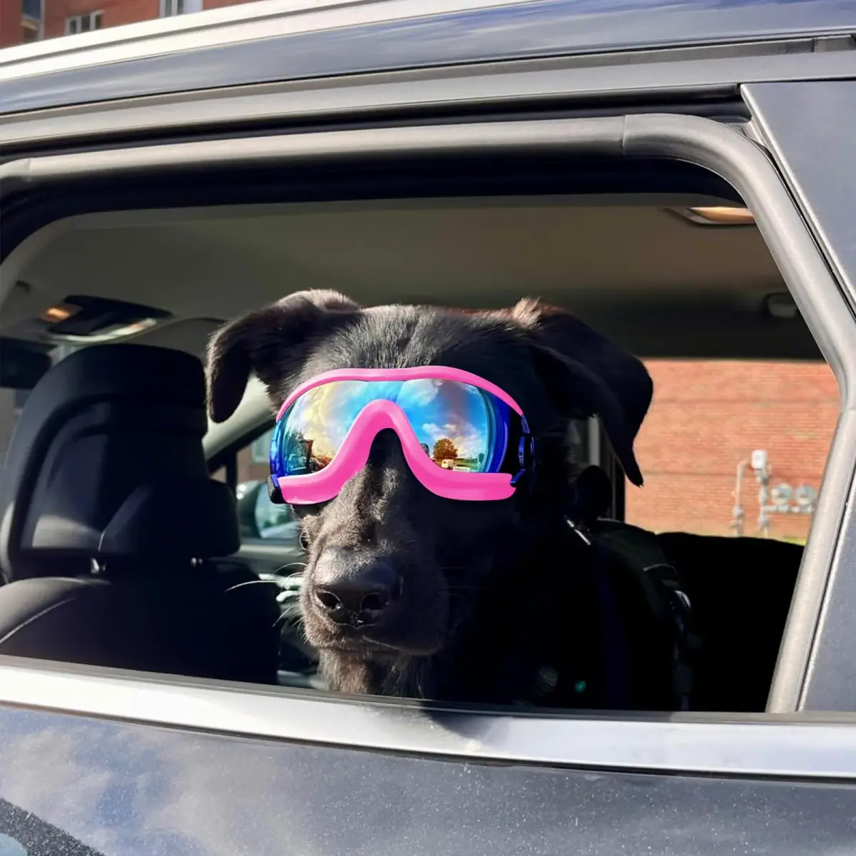 NAMSAN Dog Sunglasses for Medium to Large Dogs, UV Protection Dog Goggles Large Breed, Pink | Adjustable Sporty Eyewear - view 8