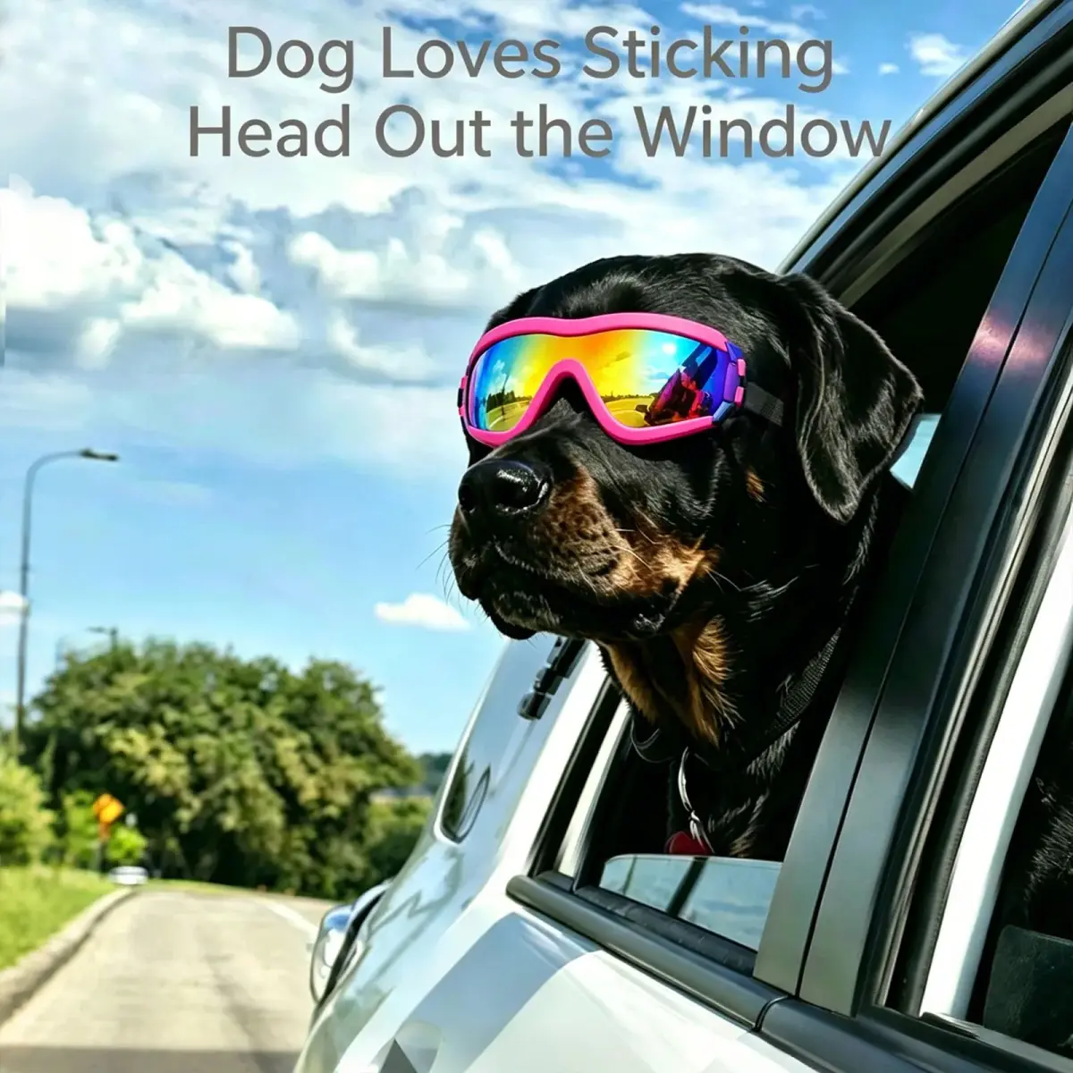NAMSAN Dog Sunglasses for Medium to Large Dogs, UV Protection Dog Goggles Large Breed, Pink | Adjustable Sporty Eyewear - view 2