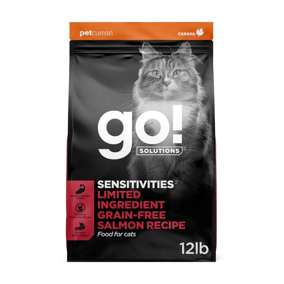 Go! Solutions Sensitivities Limited Ingredient Salmon Dry Cat Food, 12 lb | Grain-Free & Sensitive Stomach Support - main product image