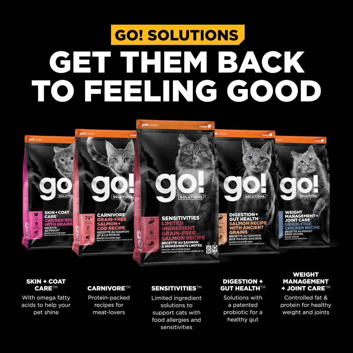Go! Solutions Sensitivities Limited Ingredient Salmon Dry Cat Food, 12 lb | Grain-Free & Sensitive Stomach Support - view 6